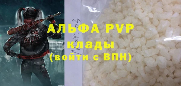 СК Гусь-Хрустальный