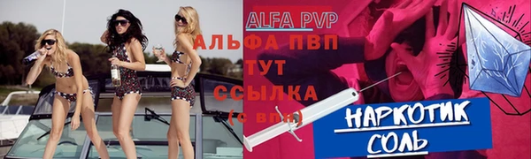 мдпв Гусев