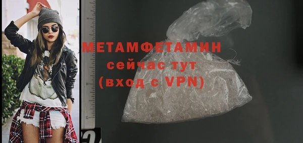 мдпв Гусев