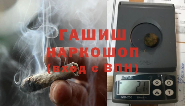 мдпв Гусев