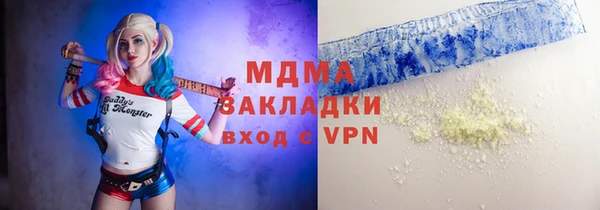 мдпв Гусев
