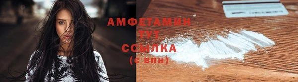 мдпв Дмитриев