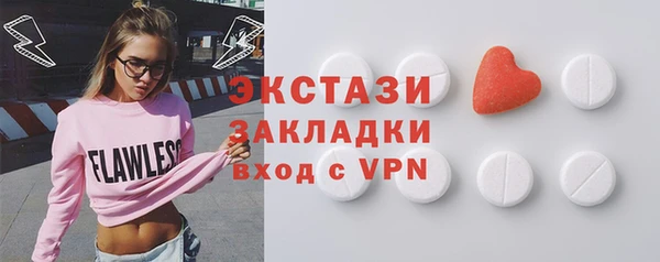 мдпв Гусев