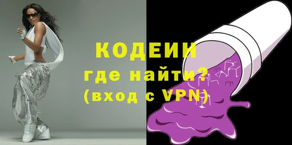 мдпв Гусев