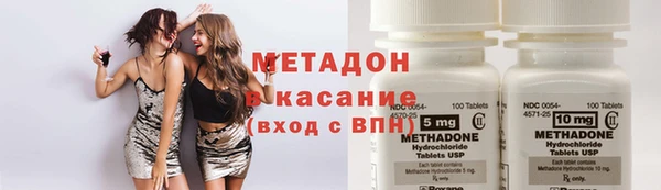 мдпв Гусев