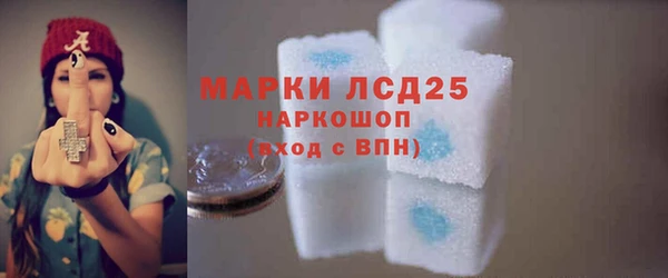 мдпв Гусев