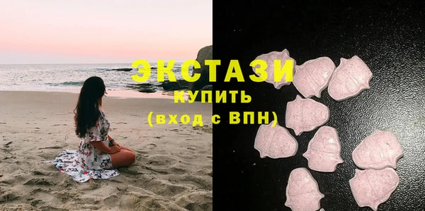 мдпв Гусев