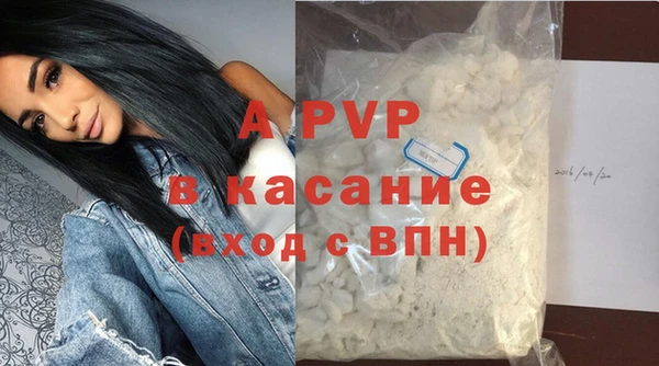 мдпв Гусев