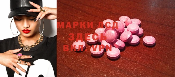 мдпв Гусев