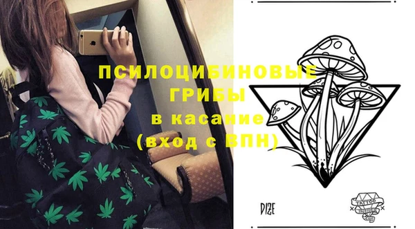 СК Гусь-Хрустальный