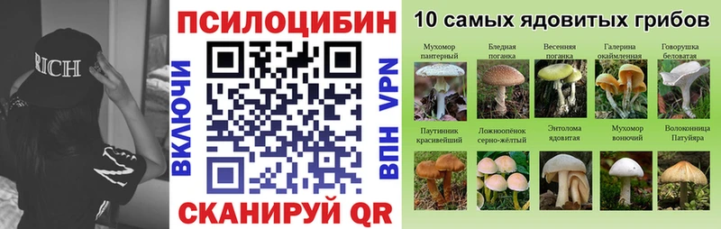 Псилоцибиновые грибы MAGIC MUSHROOMS  Купить где  Камышлов 